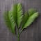 Green Sago Palm Stem by Ashland®